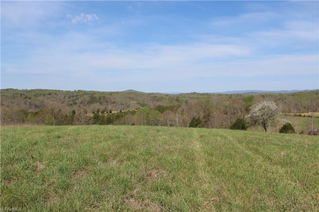 1121 Bowman Road Westfield, NC 27053 - Photo 3 of 24 Gallery Image 3