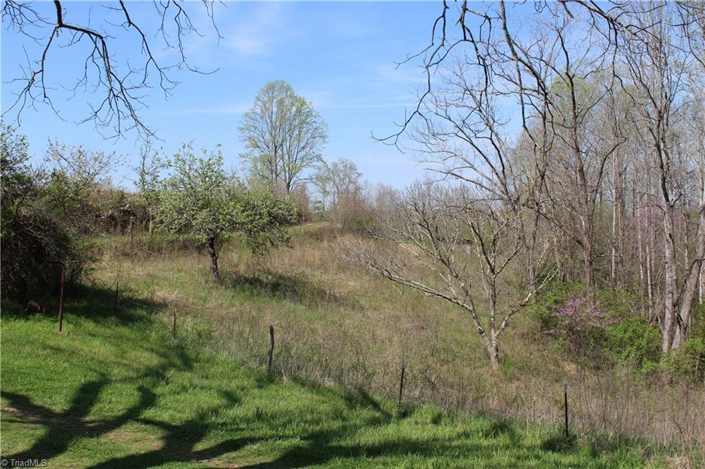 1121 Bowman Road Westfield, NC 27053 - Photo 24 of 24 Gallery Image 24