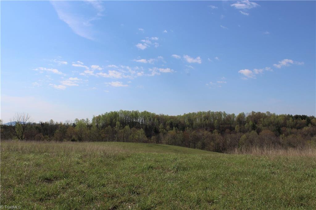 1121 Bowman Road Westfield, NC 27053 - Photo 4 of 24 Gallery Image 4