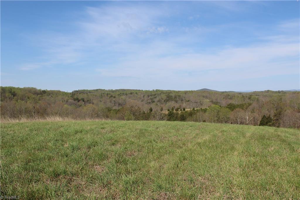 1121 Bowman Road Westfield, NC 27053 - Photo 5 of 24 Gallery Image 5