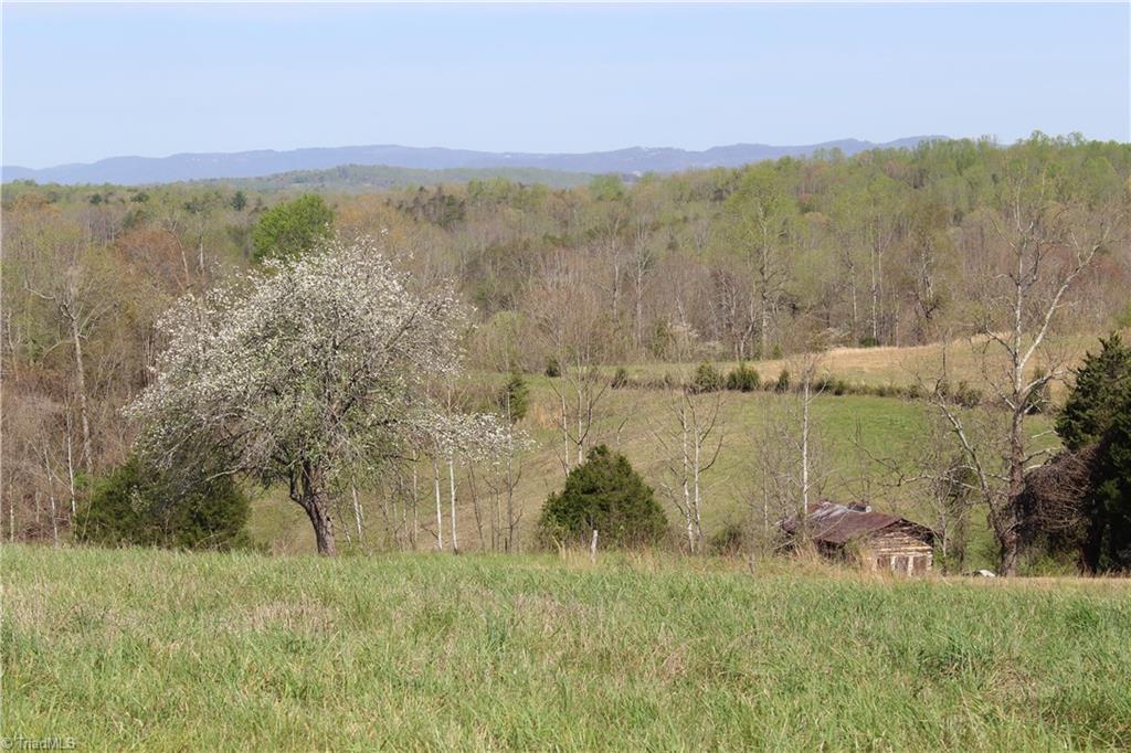 1121 Bowman Road Westfield, NC 27053 - Photo 6 of 24 Gallery Image 6