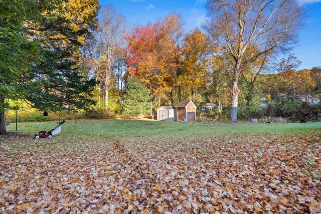 a view of a park with large trees