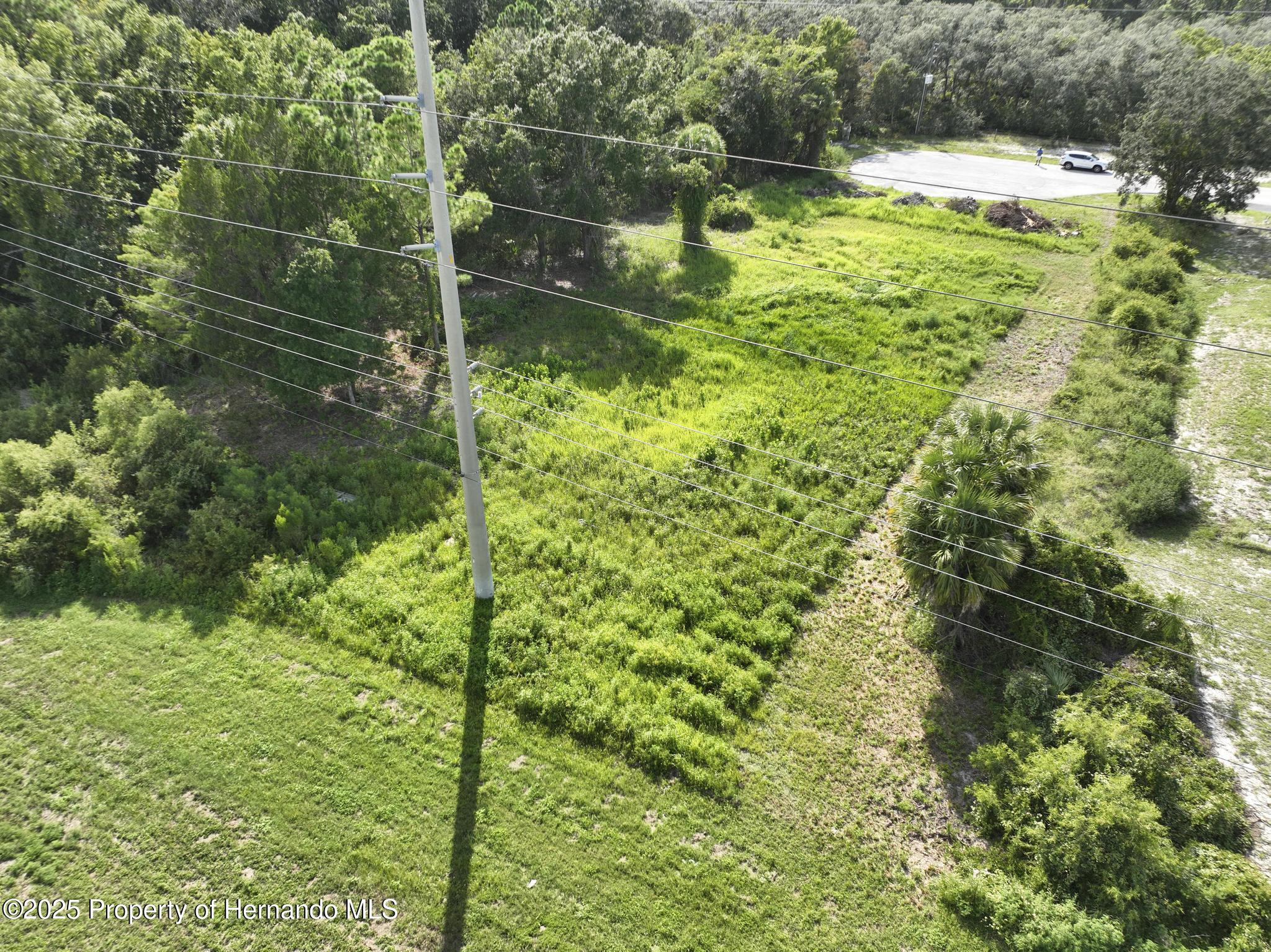 290 Suzanne Drive Spring Hill, FL 34607 - Photo 2 of 15