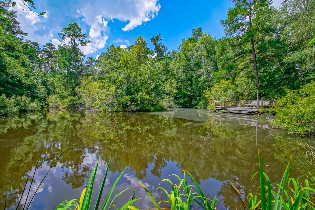 78656 Turnpike Road Folsom, LA 70437 - Photo 47 of 60