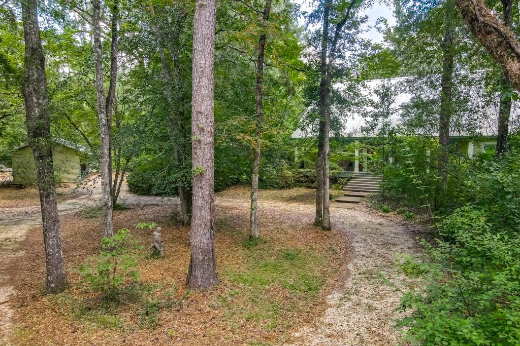 78656 Turnpike Road Folsom, LA 70437 - Photo 53 of 60