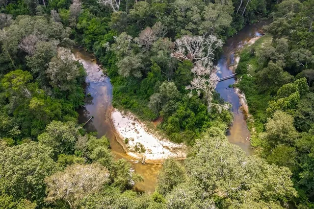 $950,000 | 78656 Turnpike Road, Folsom, LA 70437