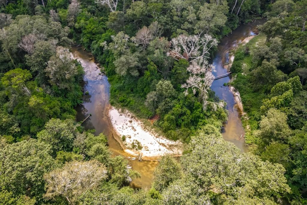 78656 Turnpike Road Folsom, LA 70437 - Photo 58 of 60