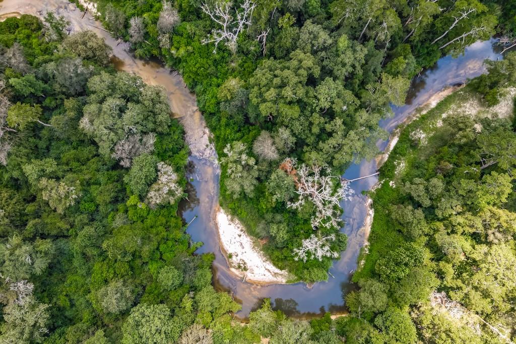 78656 Turnpike Road Folsom, LA 70437 - Photo 59 of 60