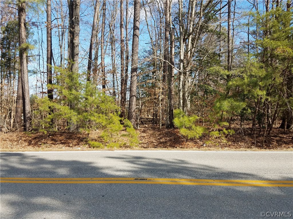 0 Winterfield Road Midlothian, VA 23113 - Photo 2 of 6 a view of a yard and street