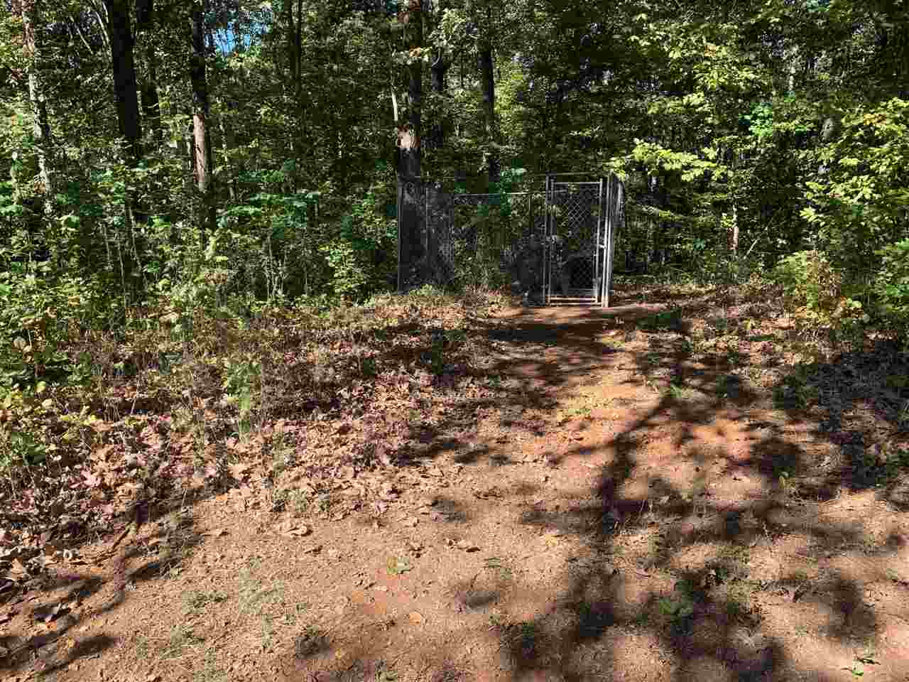 2176 Puron Road Adamsville, TN 38310 - Photo 20 of 24 a view of a forest with trees in the background