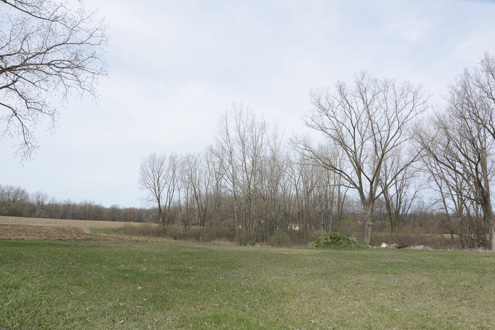 29074 Middle Crossing Road Dowagiac, MI 49047 - Photo 16 of 56 29074MiddleCross_17