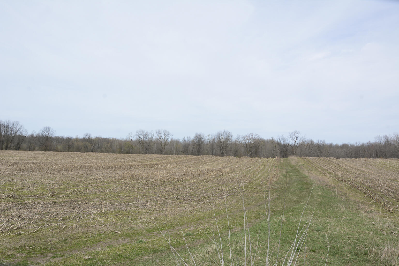 29074 Middle Crossing Road Dowagiac, MI 49047 - Photo 19 of 56 29074MiddleCross_20