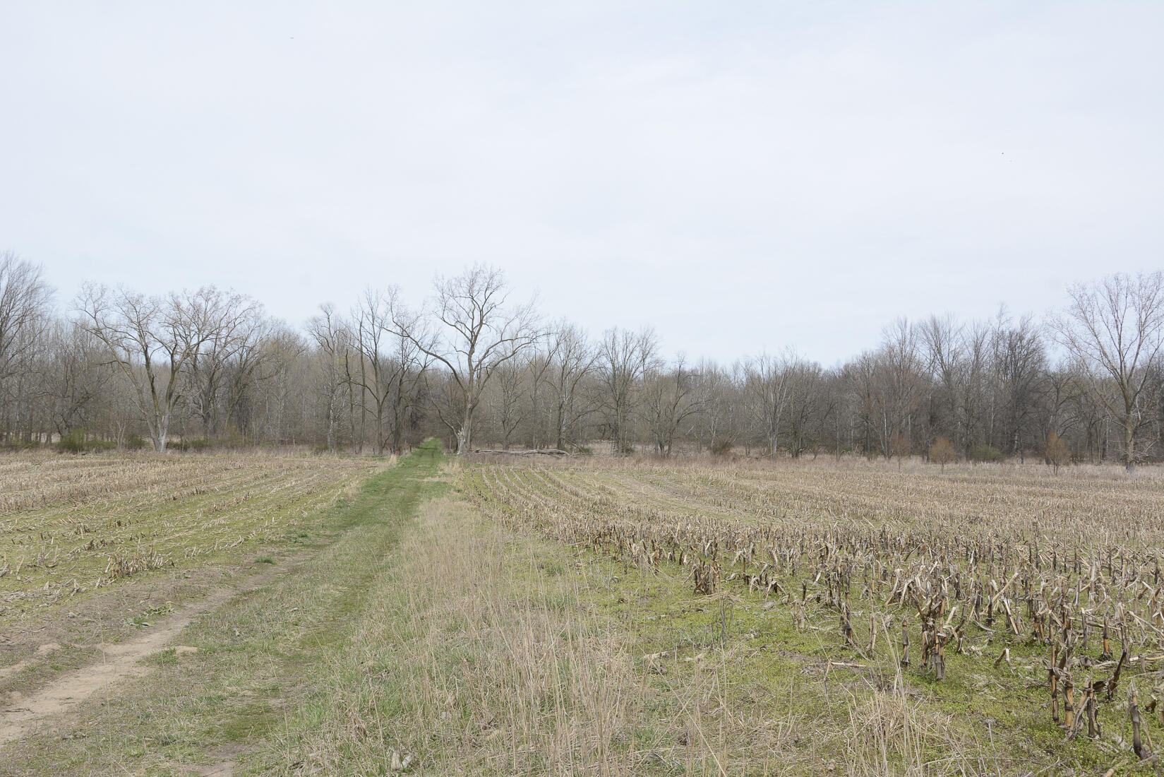 29074 Middle Crossing Road Dowagiac, MI 49047 - Photo 20 of 56 29074MiddleCross_21