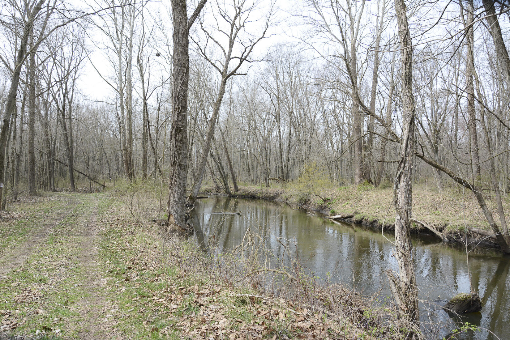 29074 Middle Crossing Road Dowagiac, MI 49047 - Photo 22 of 56 29074MiddleCross_23