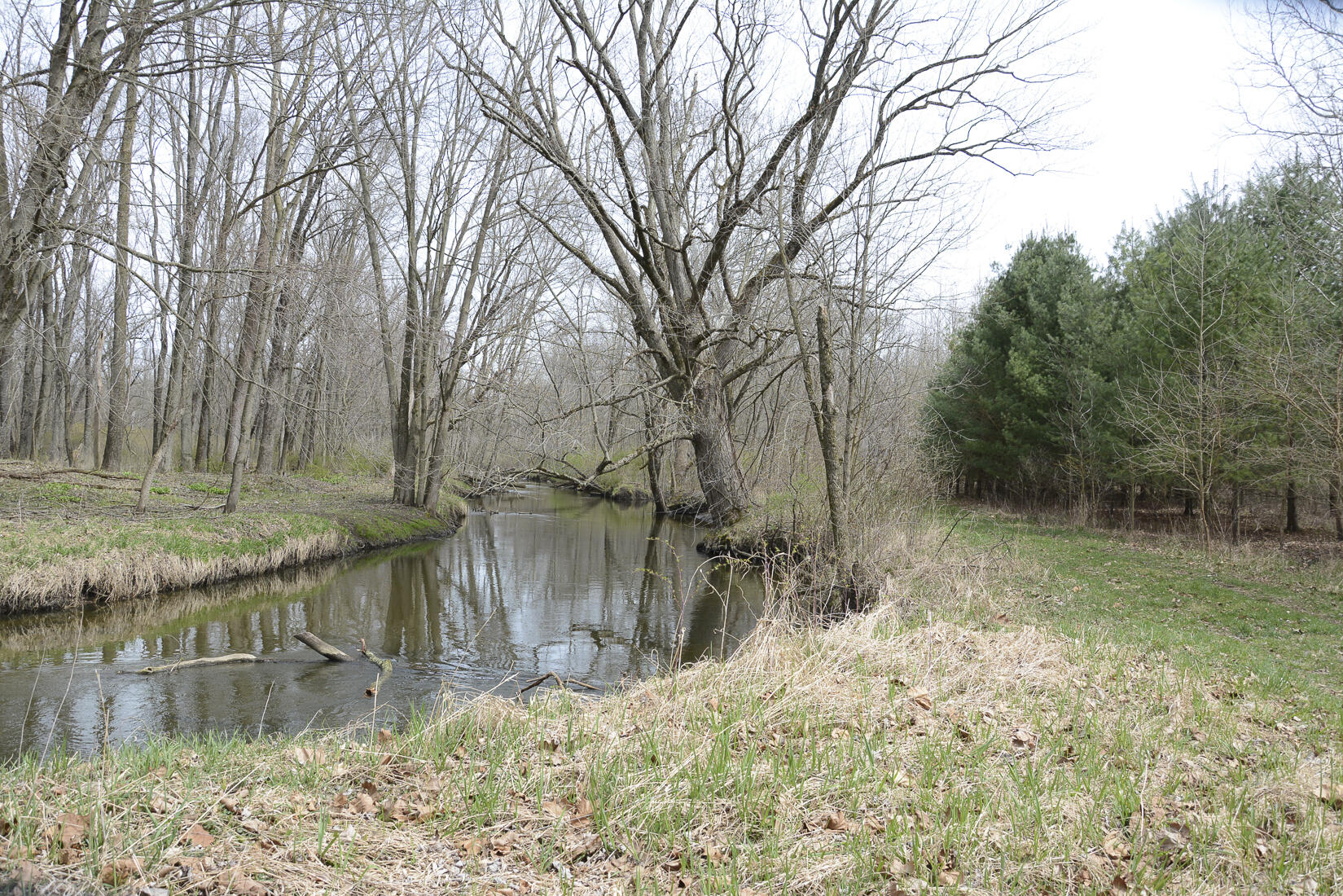 29074 Middle Crossing Road Dowagiac, MI 49047 - Photo 23 of 56 29074MiddleCross_24