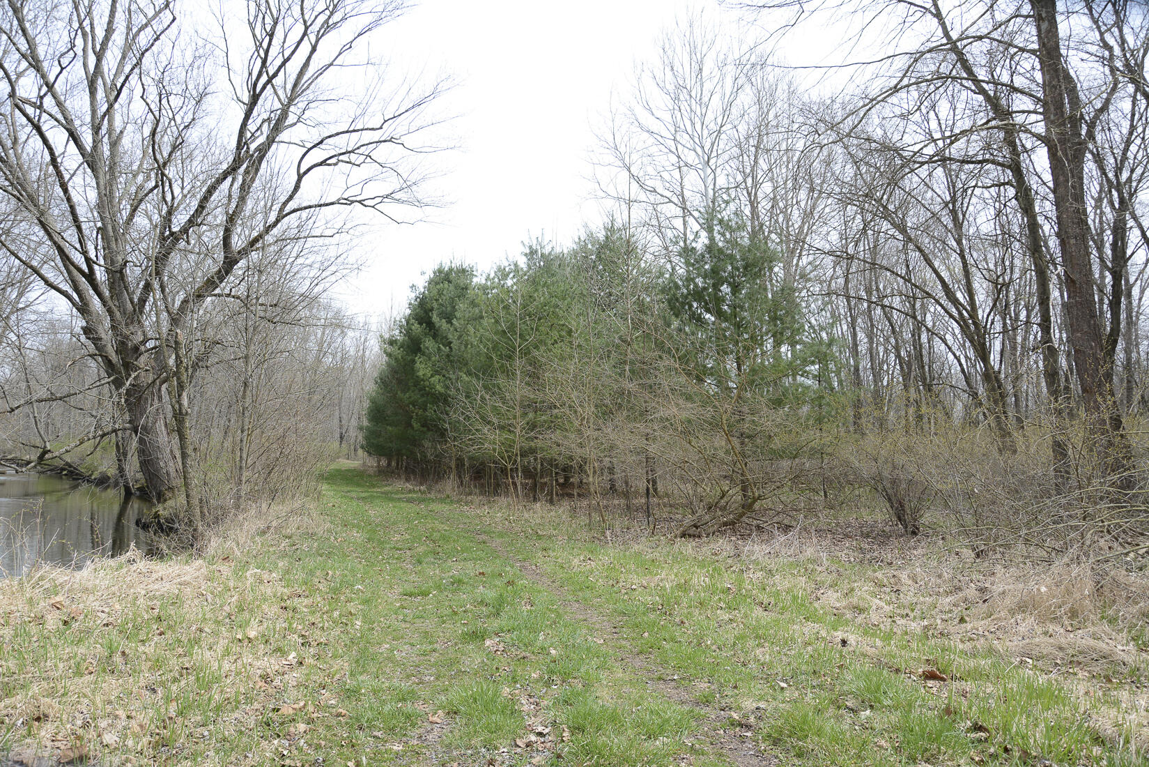 29074 Middle Crossing Road Dowagiac, MI 49047 - Photo 24 of 56 29074MiddleCross_25