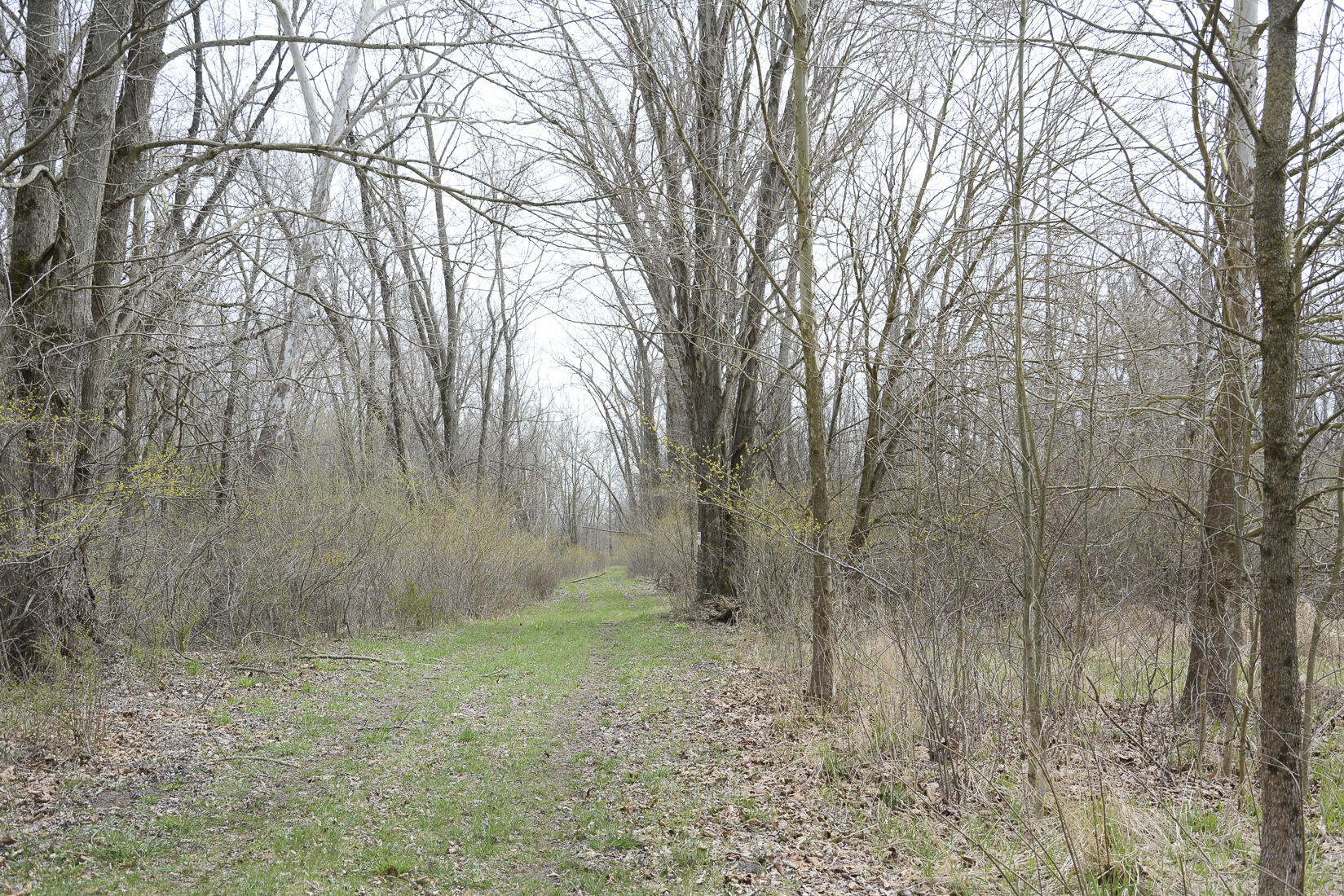 29074 Middle Crossing Road Dowagiac, MI 49047 - Photo 25 of 56 29074MiddleCross_26