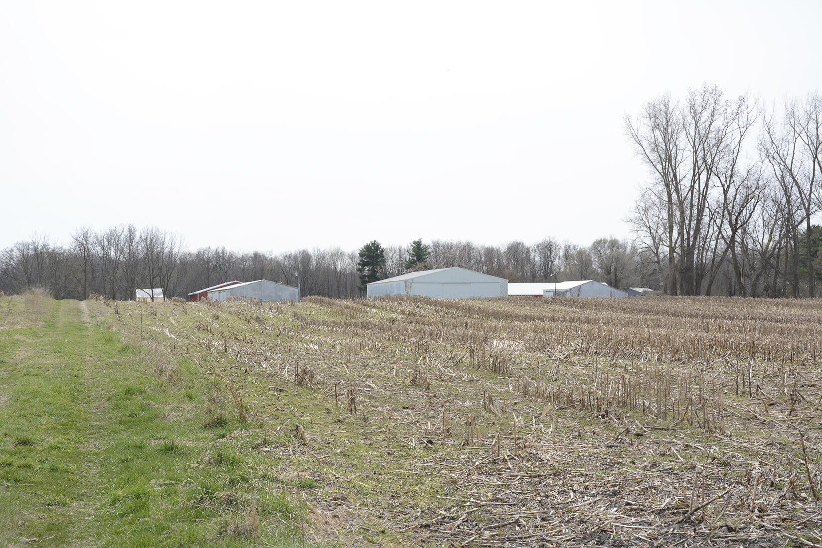 29074 Middle Crossing Road Dowagiac, MI 49047 - Photo 26 of 56 29074MiddleCross_27