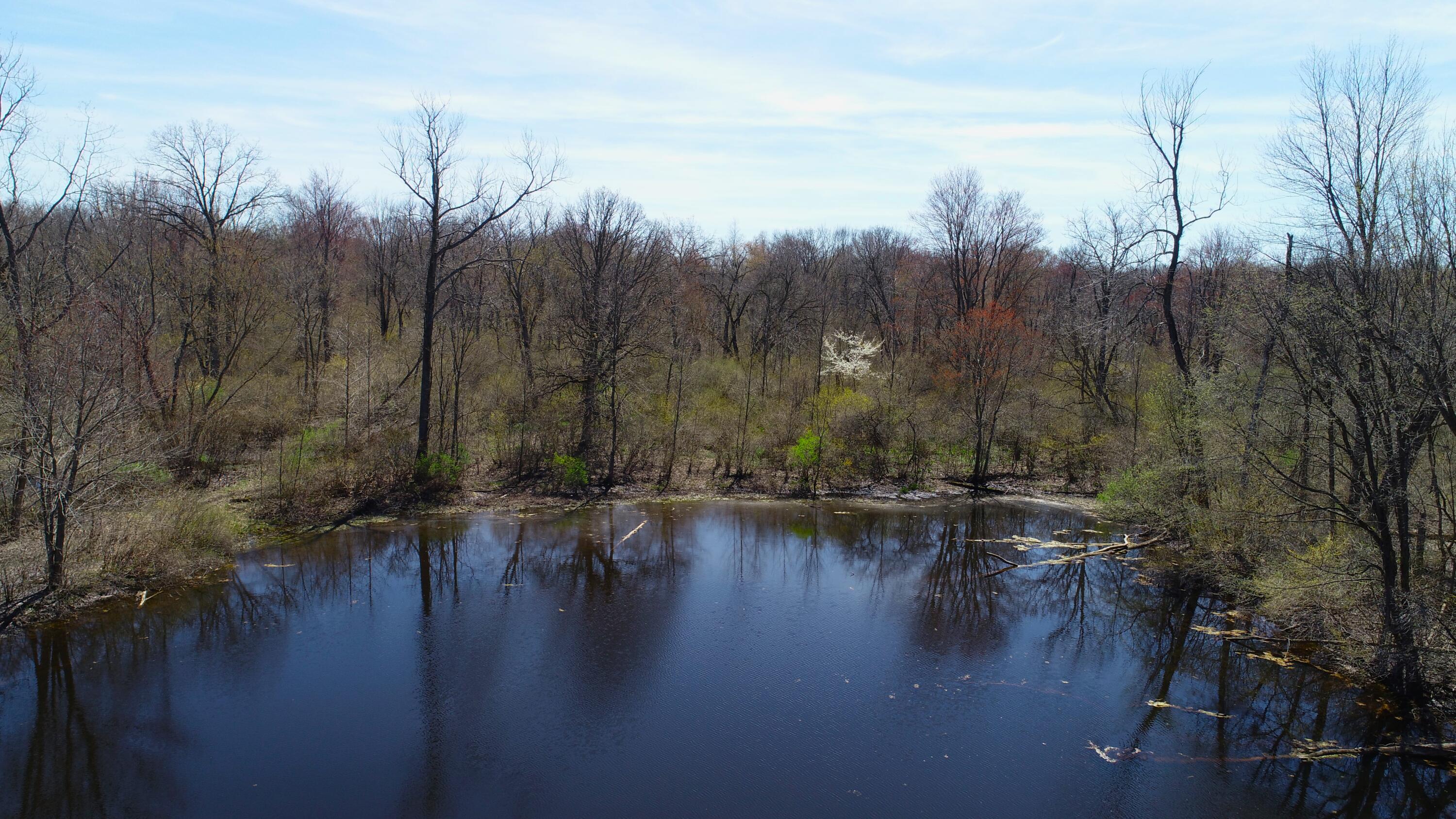 29074 Middle Crossing Road Dowagiac, MI 49047 - Photo 45 of 56 DJI_0012