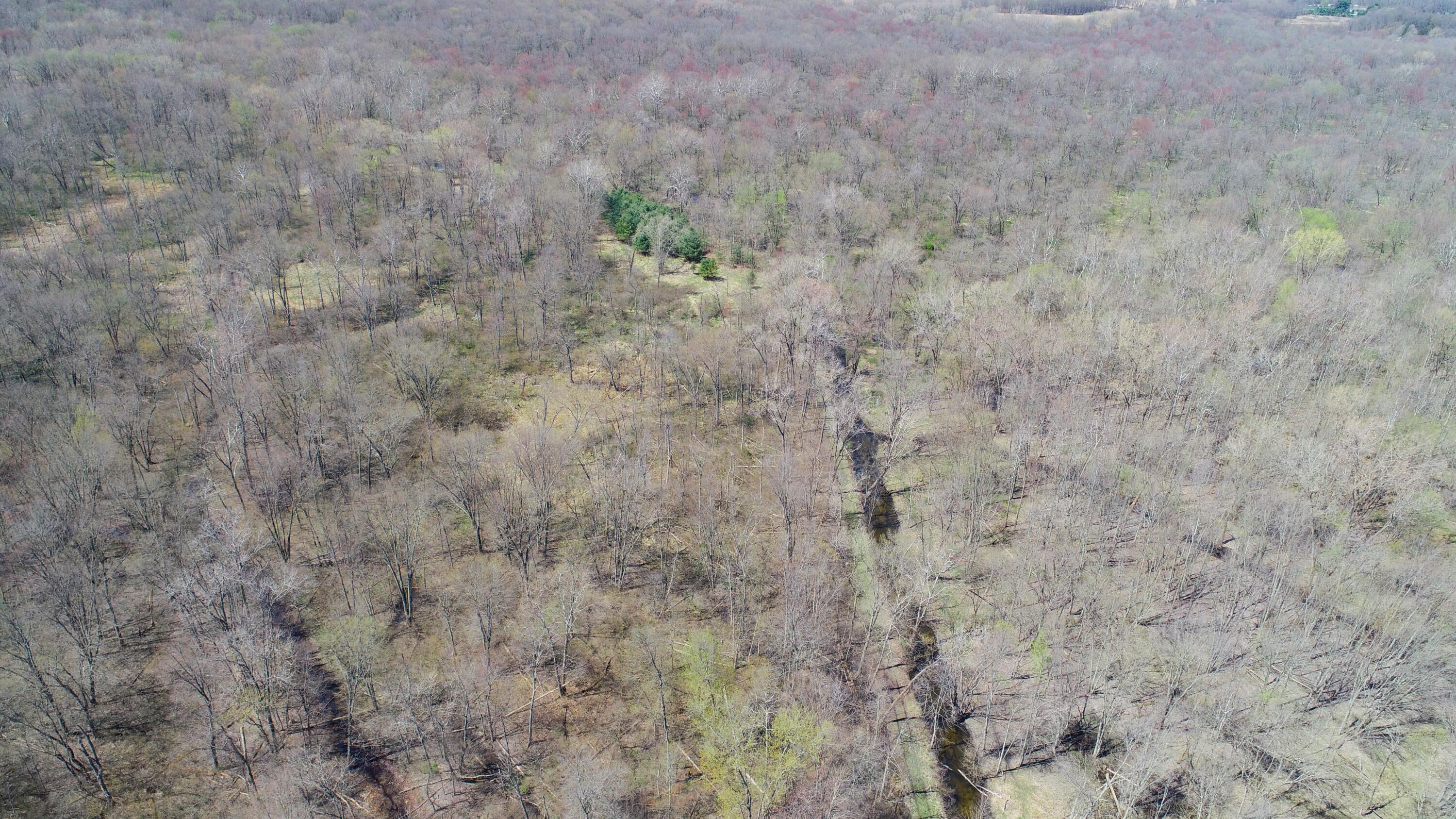 29074 Middle Crossing Road Dowagiac, MI 49047 - Photo 47 of 56 DJI_0010