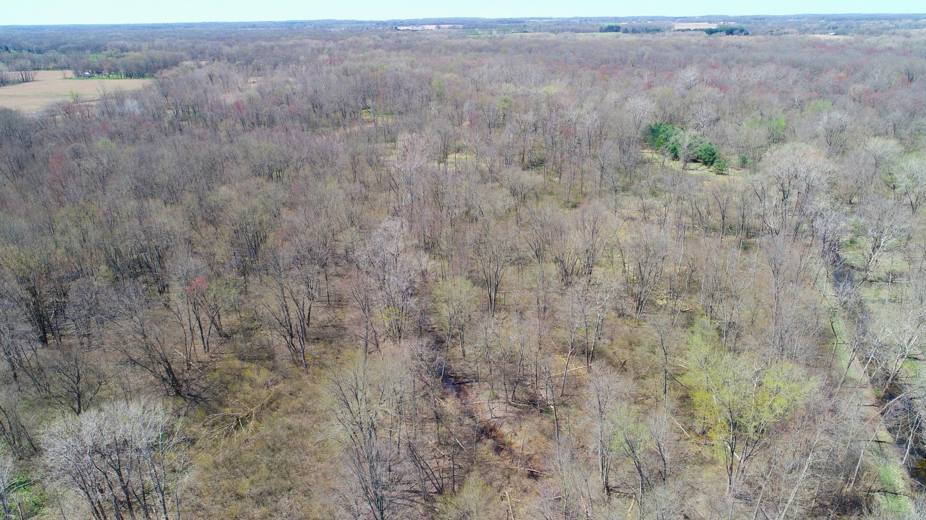 29074 Middle Crossing Road Dowagiac, MI 49047 - Photo 50 of 56 DJI_0007