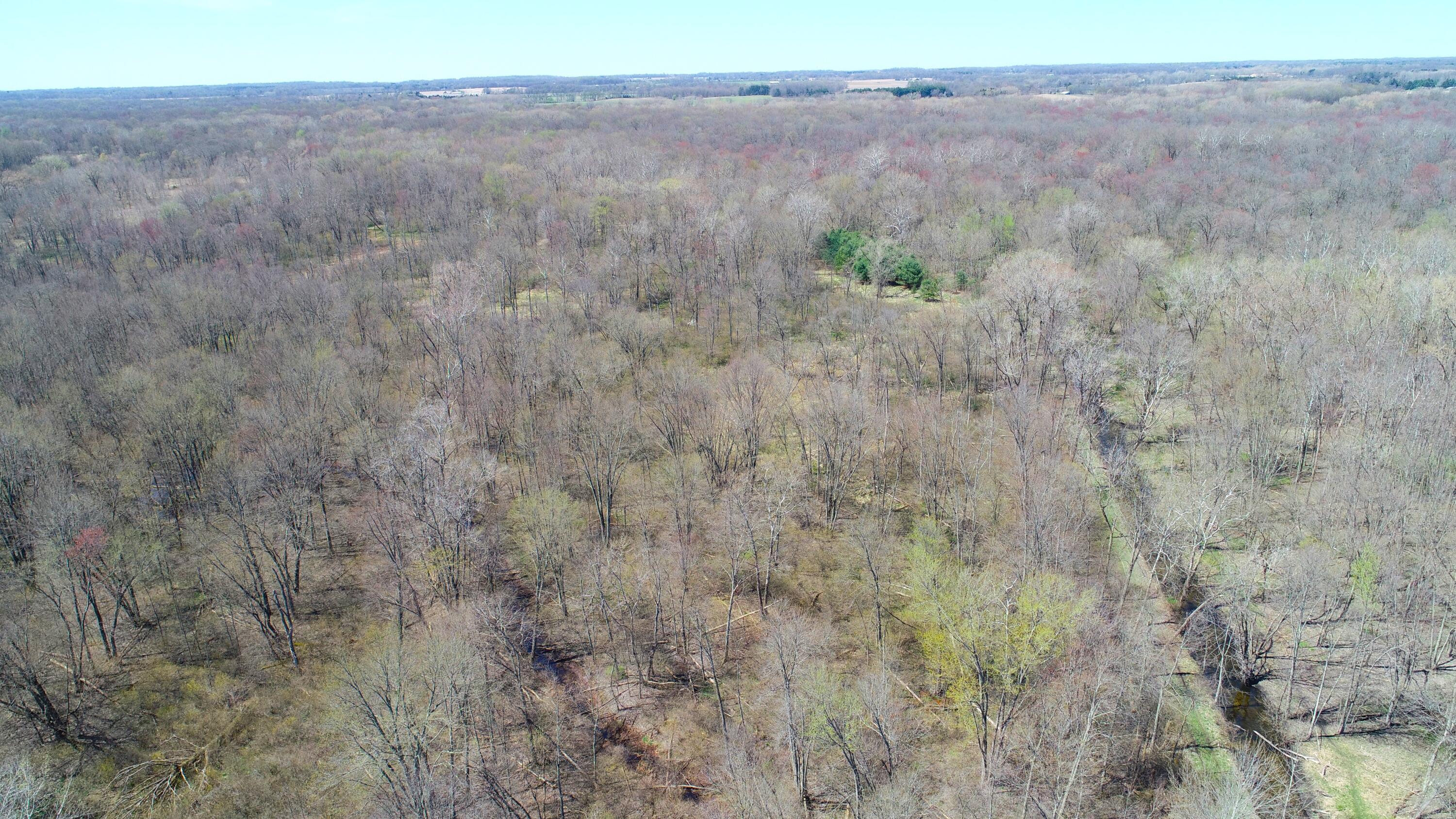 29074 Middle Crossing Road Dowagiac, MI 49047 - Photo 51 of 56 DJI_0006