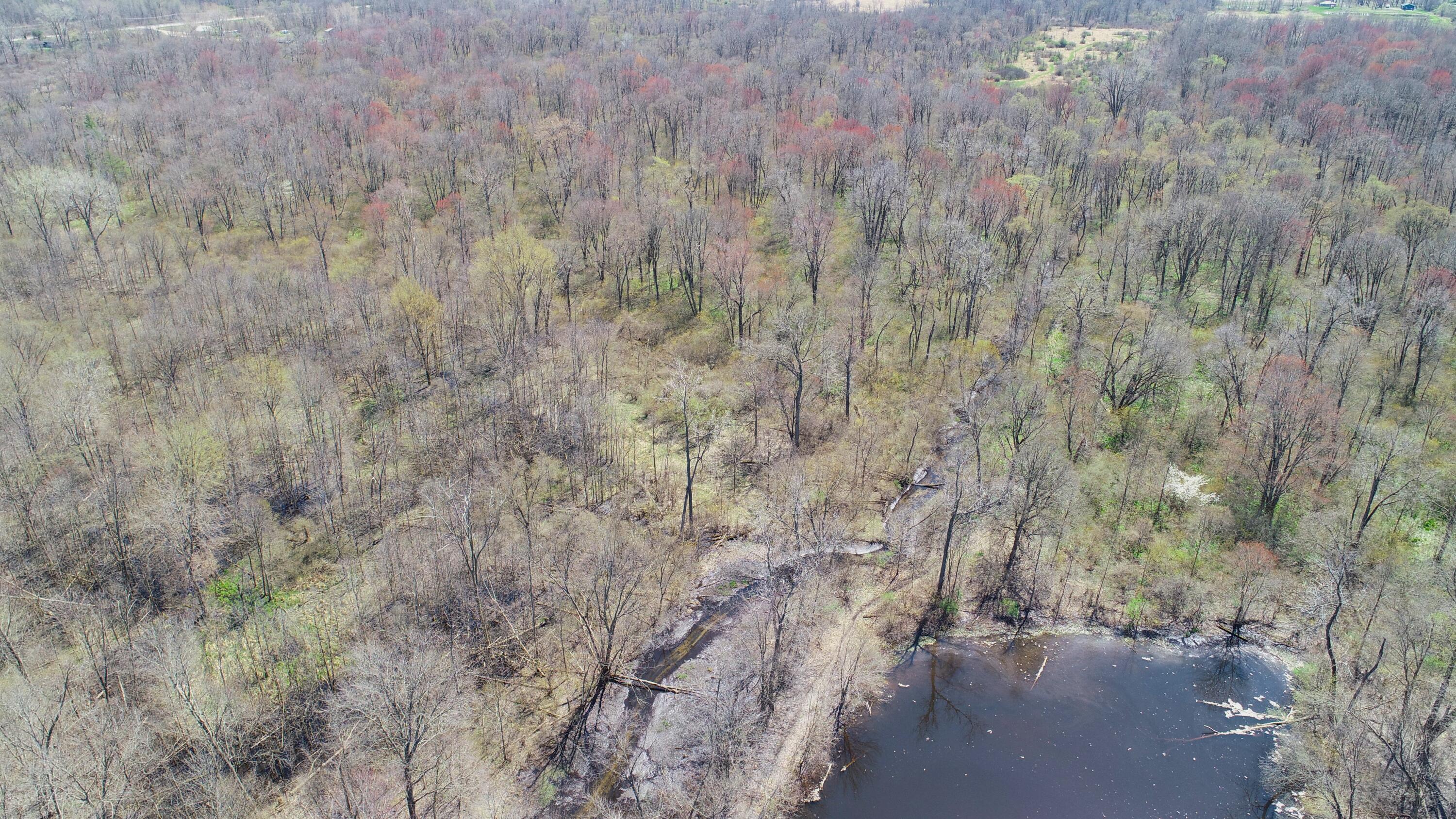29074 Middle Crossing Road Dowagiac, MI 49047 - Photo 53 of 56 DJI_0004