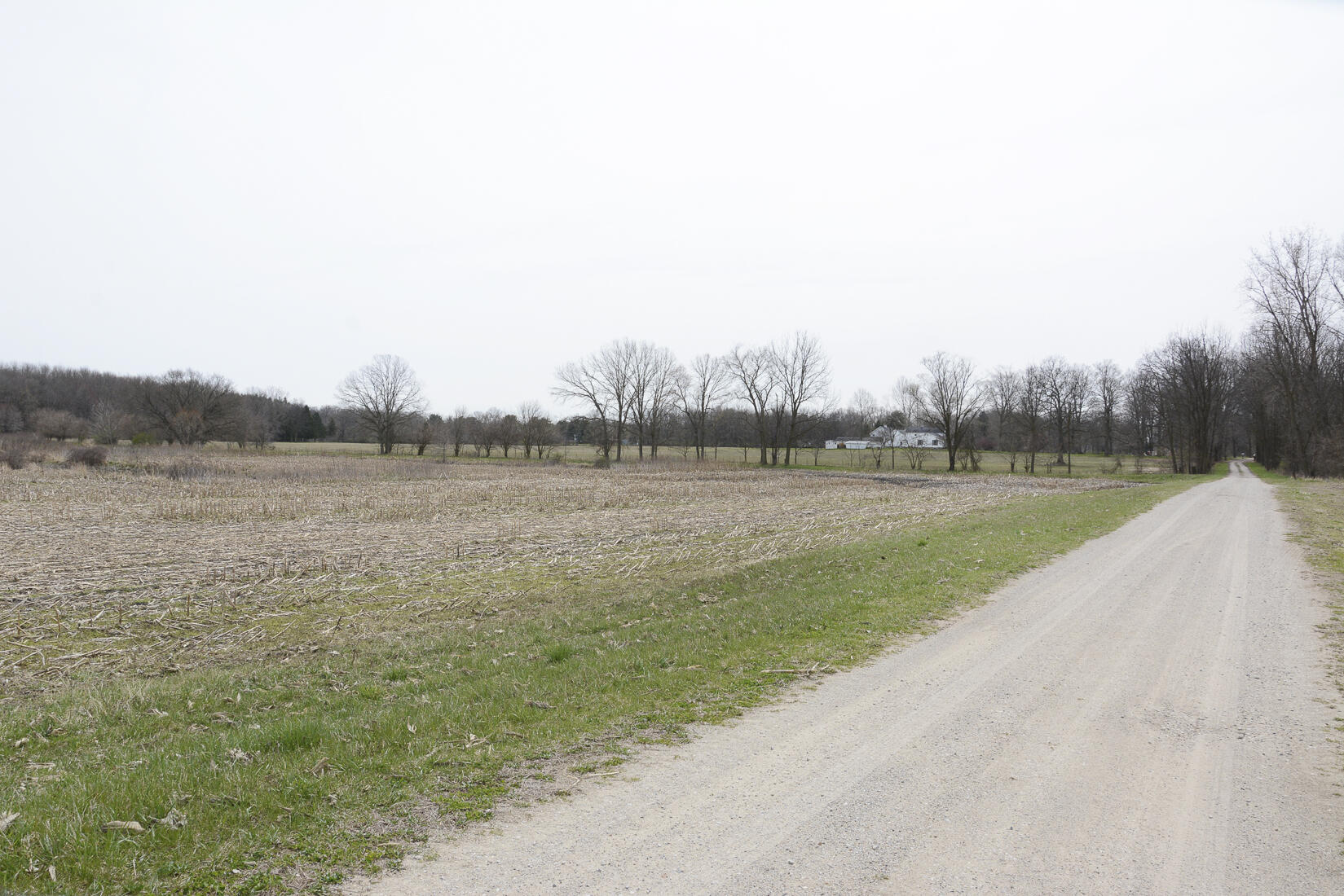 29074 Middle Crossing Road Dowagiac, MI 49047 - Photo 6 of 56 29074MiddleCross_02