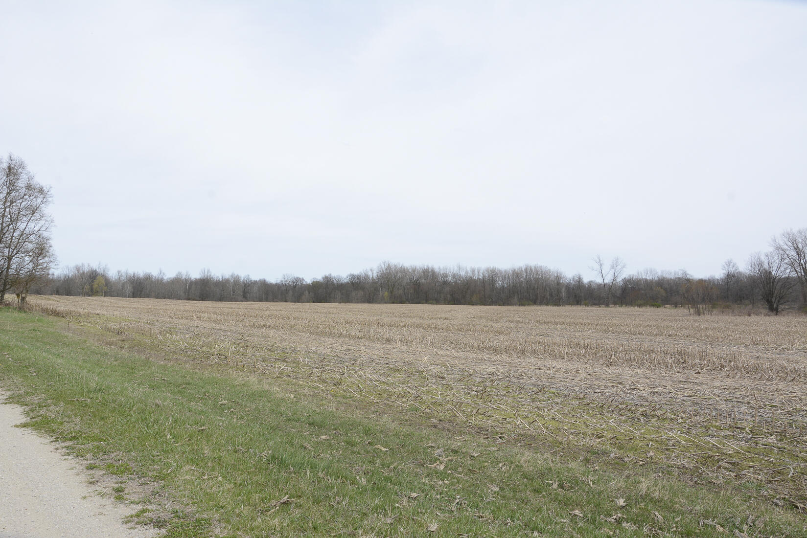 29074 Middle Crossing Road Dowagiac, MI 49047 - Photo 8 of 56 29074MiddleCross_04