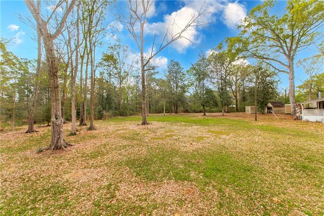 51132 Jenkins Lane Tickfaw, LA 70466 - Photo 8 of 40