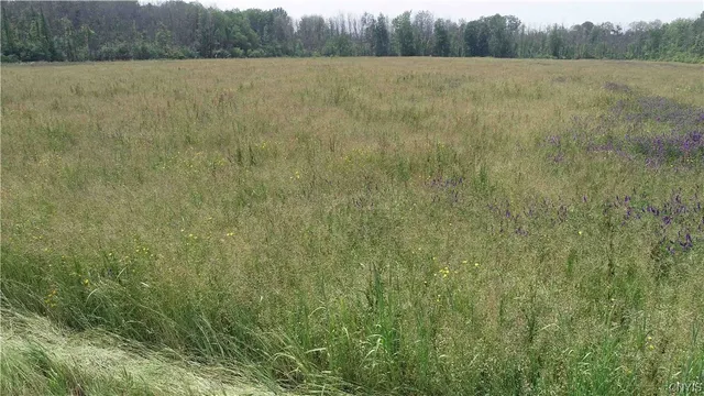 $2,200,000 | L18 Co Rt 12, Pennellville, NY 13132