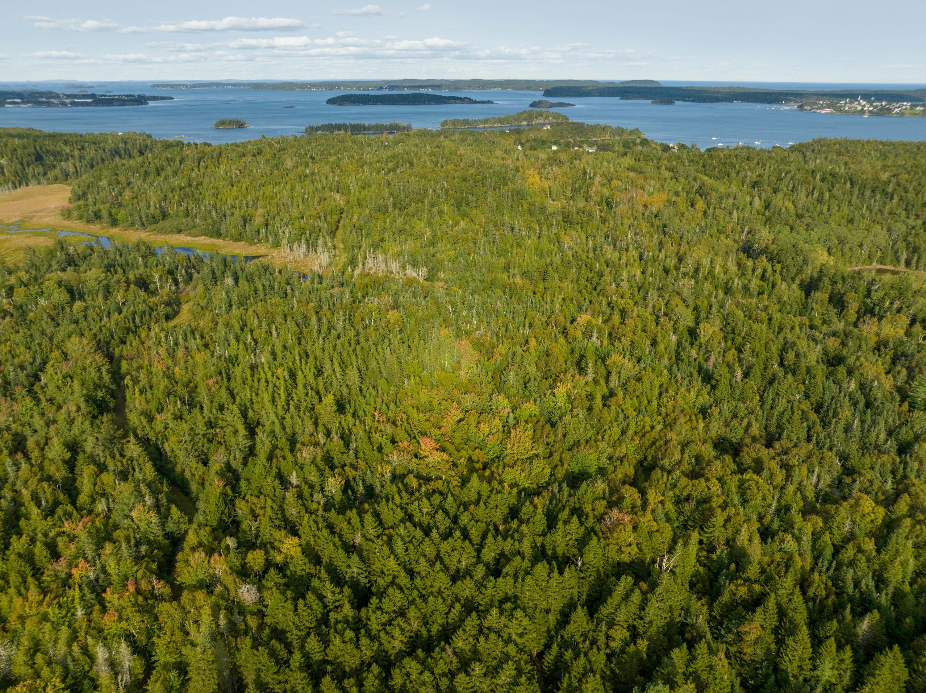 450 North Lubec Road Lubec, ME 04652 - Photo 32 of 36 450 North Lubec Rd. (26 of 41)