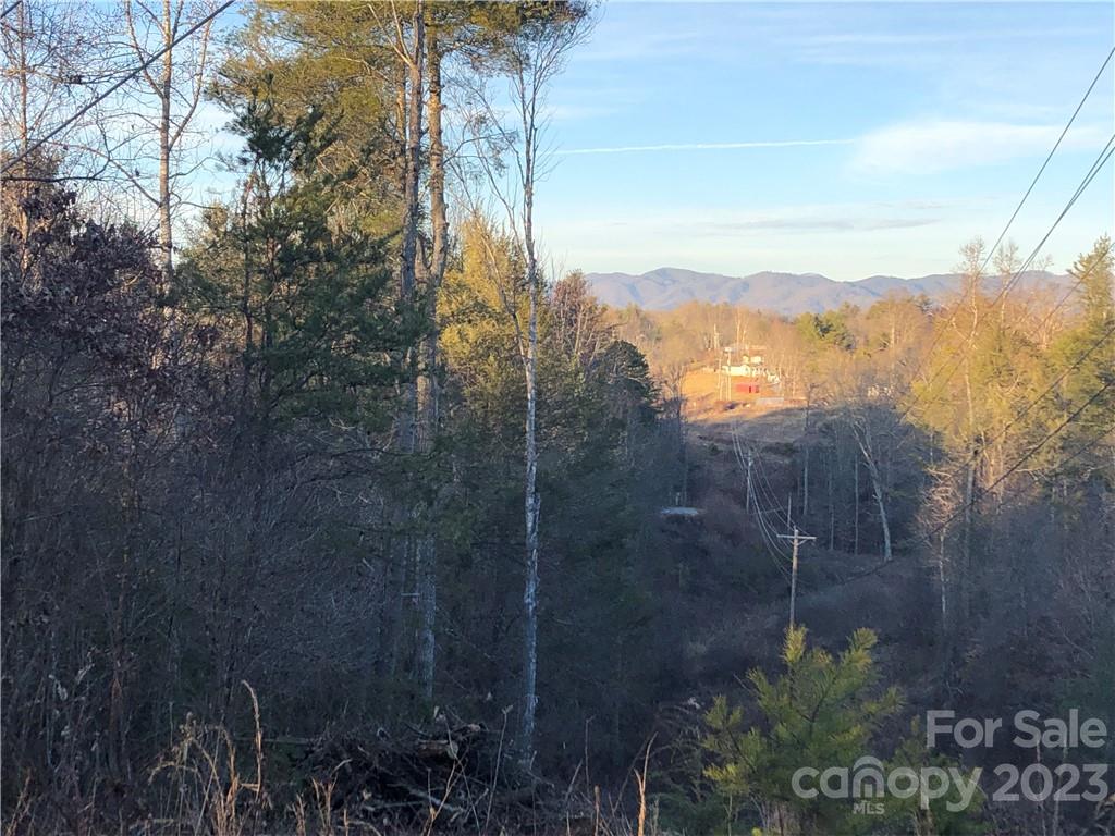 9999 Grandview Road Marshall, NC 28753 - Photo 1 of 7 Gallery Image 1