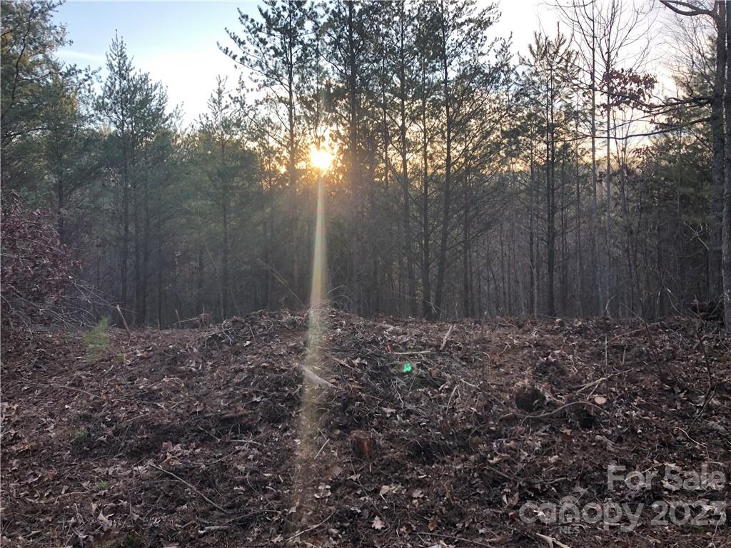 9999 Grandview Road Marshall, NC 28753 - Photo 3 of 7 Gallery Image 3