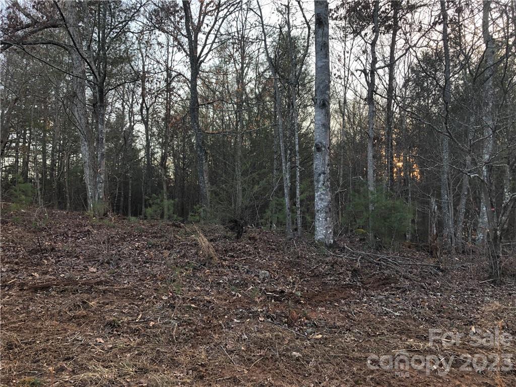 9999 Grandview Road Marshall, NC 28753 - Photo 4 of 7 Gallery Image 4