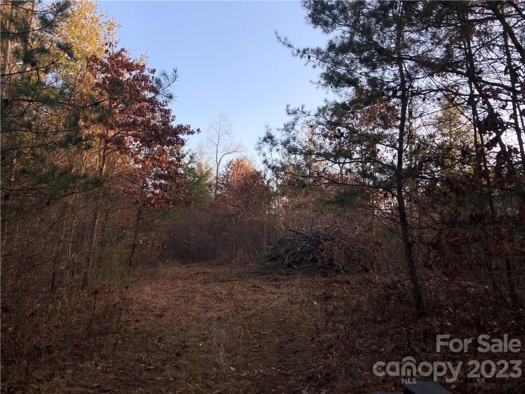 9999 Grandview Road Marshall, NC 28753 - Photo 5 of 7 Gallery Image 5