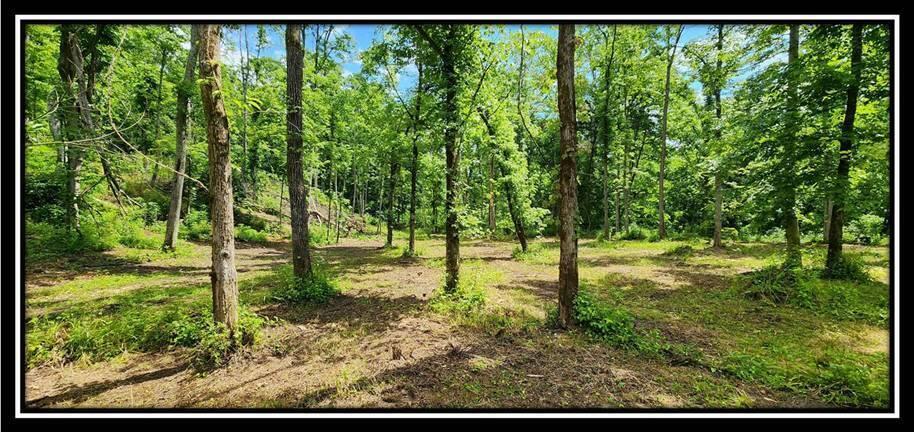 0 Featherstone Road Stewart, OH 45778 - Photo 51 of 72 image052