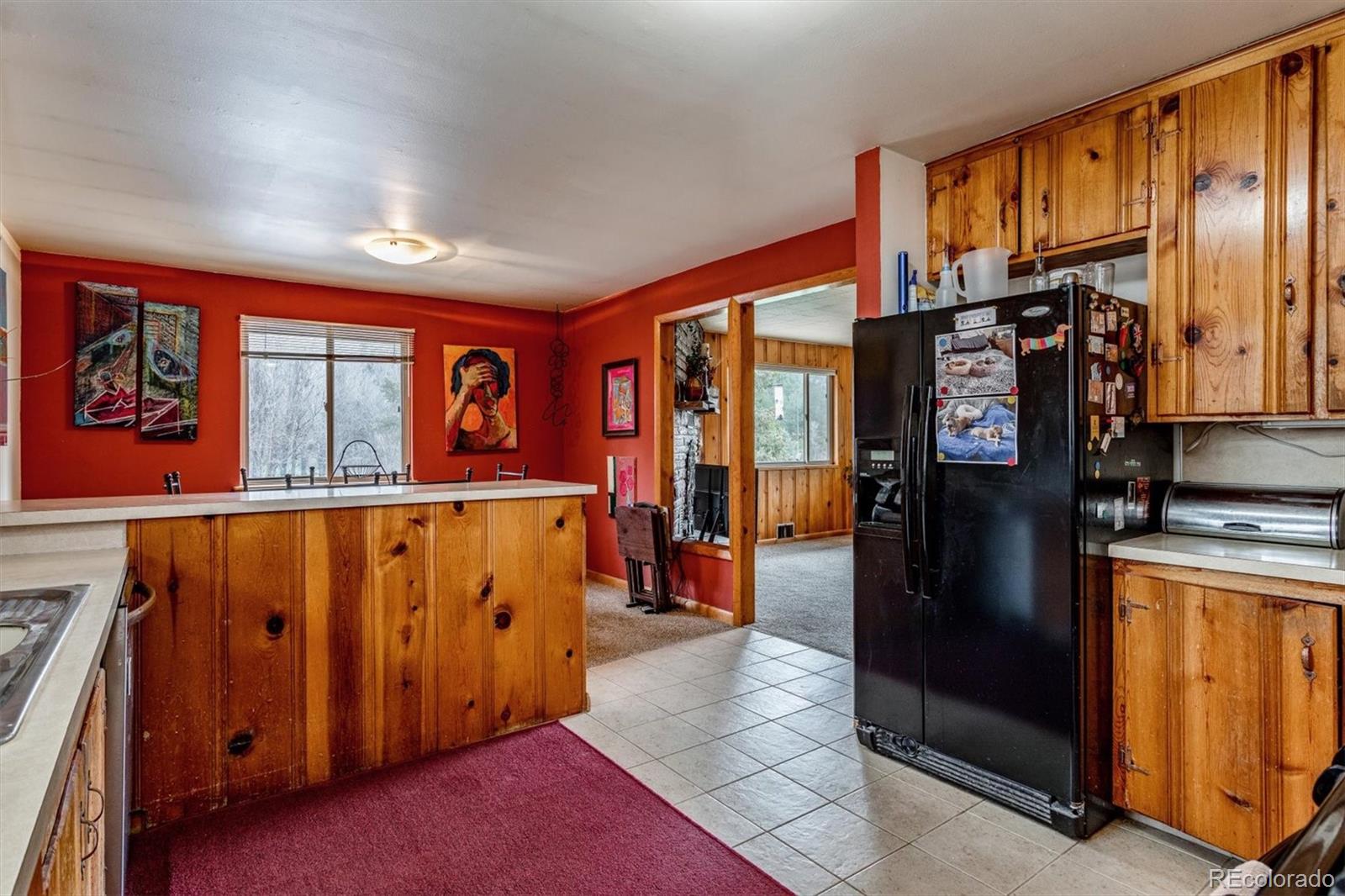 28844 Rio Vista Road Pine, CO 80470 - Photo 12 of 30 Gallery Image 12
