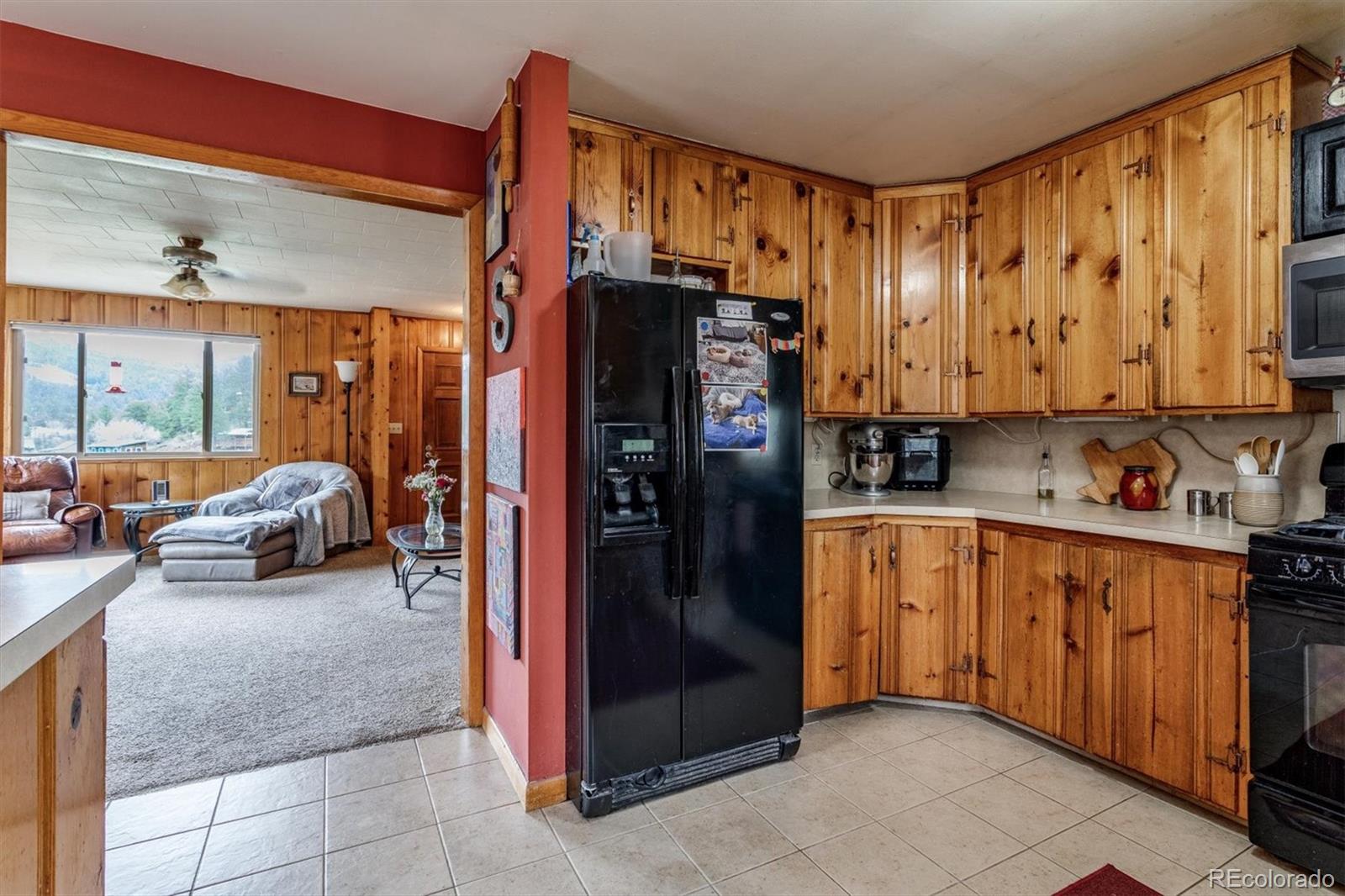 28844 Rio Vista Road Pine, CO 80470 - Photo 13 of 30 Gallery Image 13