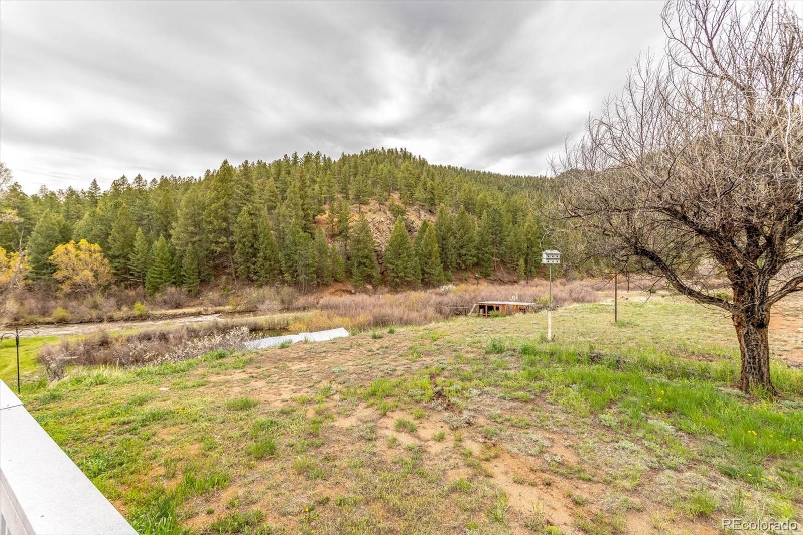 28844 Rio Vista Road Pine, CO 80470 - Photo 28 of 30 Gallery Image 28
