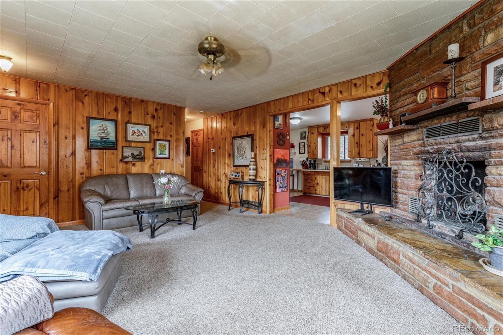 28844 Rio Vista Road Pine, CO 80470 - Photo 6 of 30 Gallery Image 6