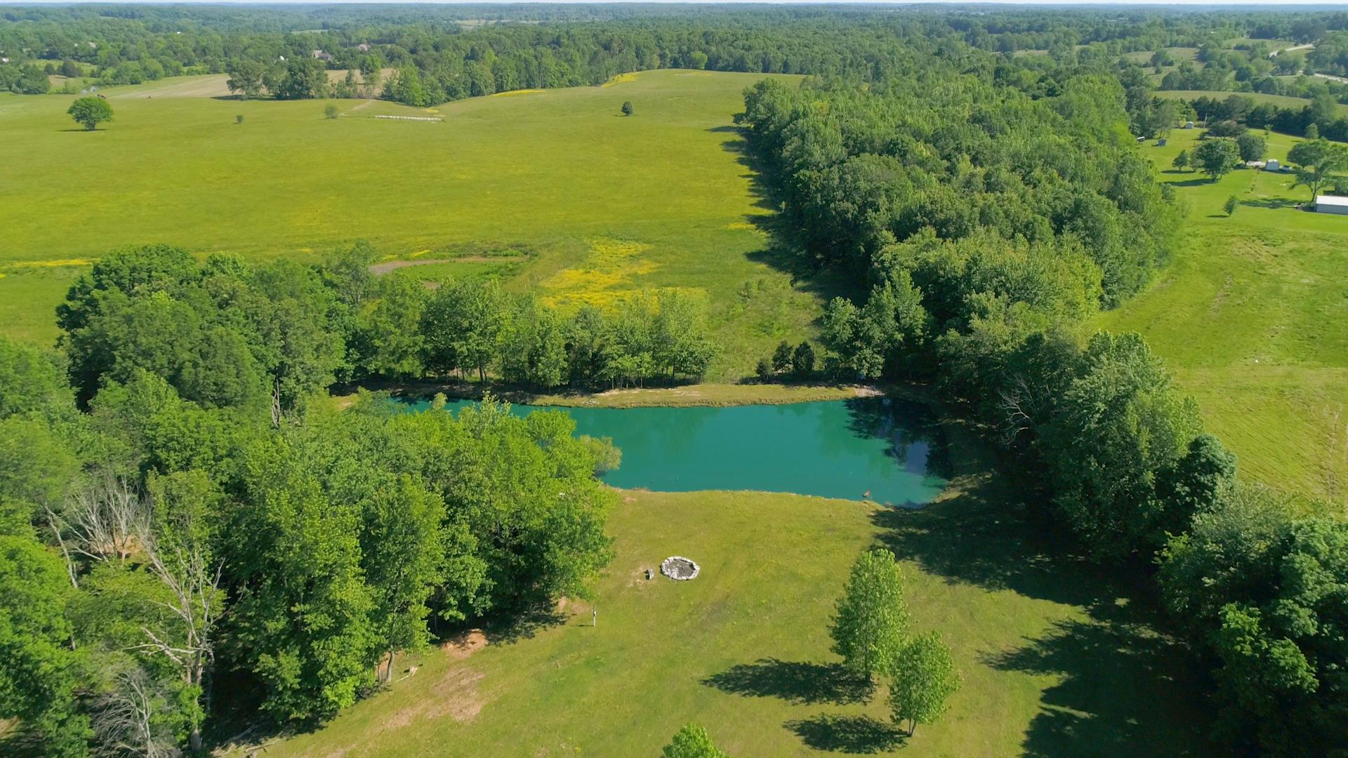 129 Fairfield Road Portland, TN 37148 - Photo 3 of 25 Pond is stocked with huge catfish and has electricity and lighting.