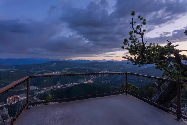 an aerial view of a house with a garden