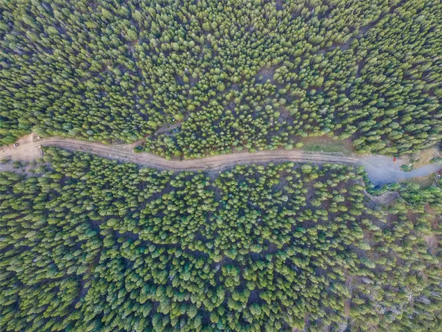 a close up of a plant