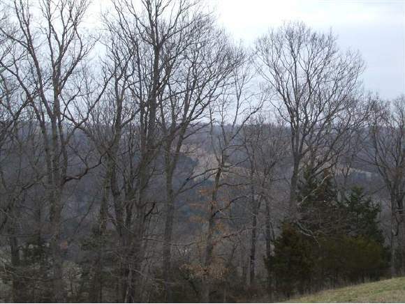 Hilltop Vista Reeds Spring, MO 65737 - Photo 1 of 1 Primary Photo