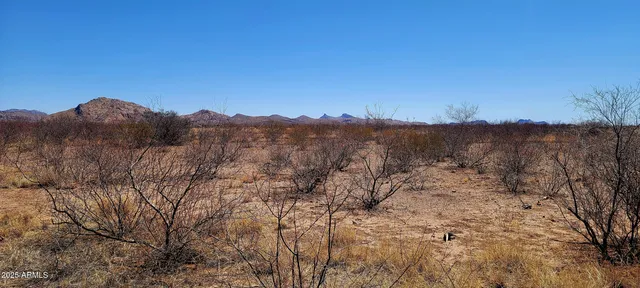 a view of mountain view with lots of trees