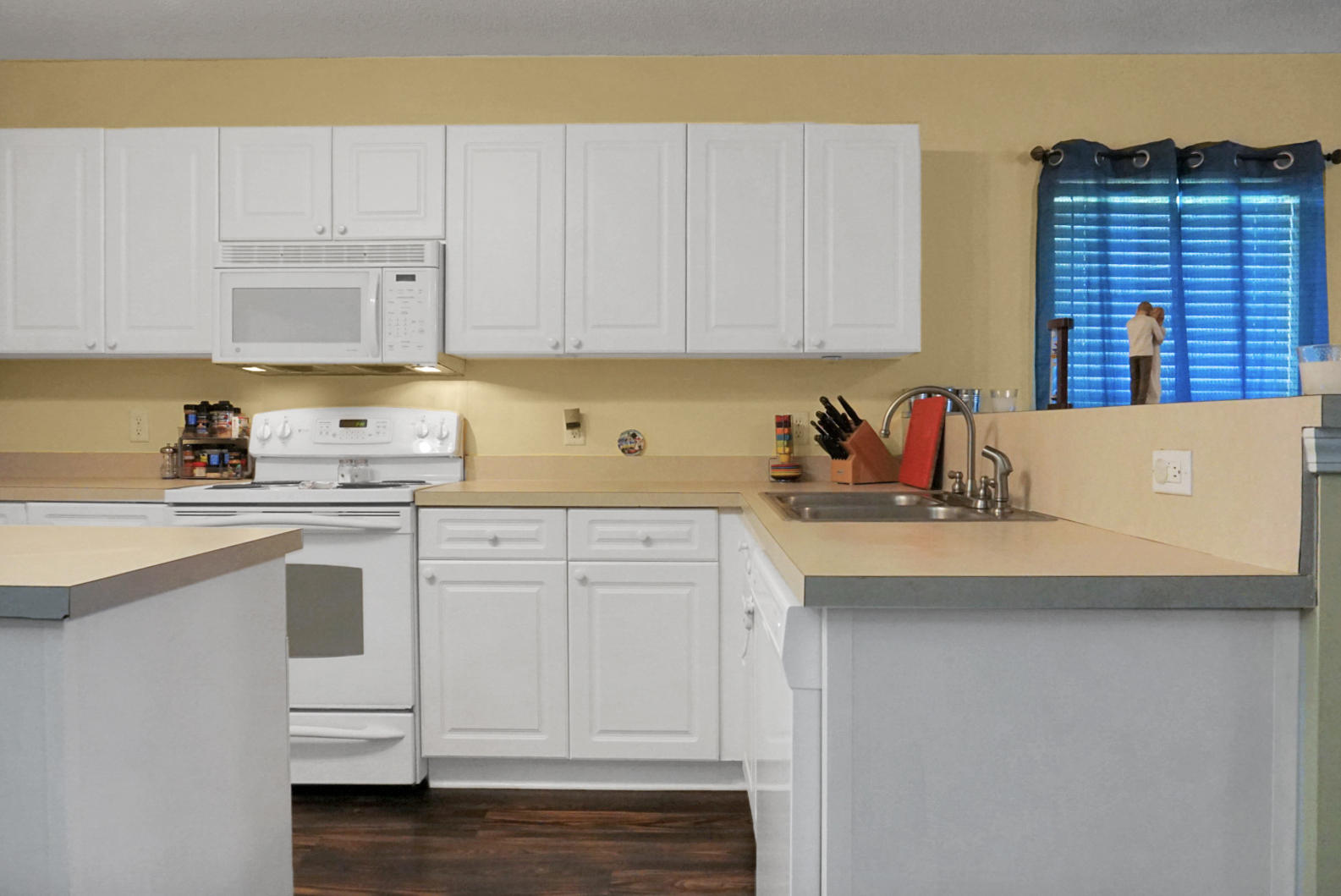 3045 Maple Leaf Drive Moncks Corner, SC 29461 - Photo 12 of 34 DSC06902