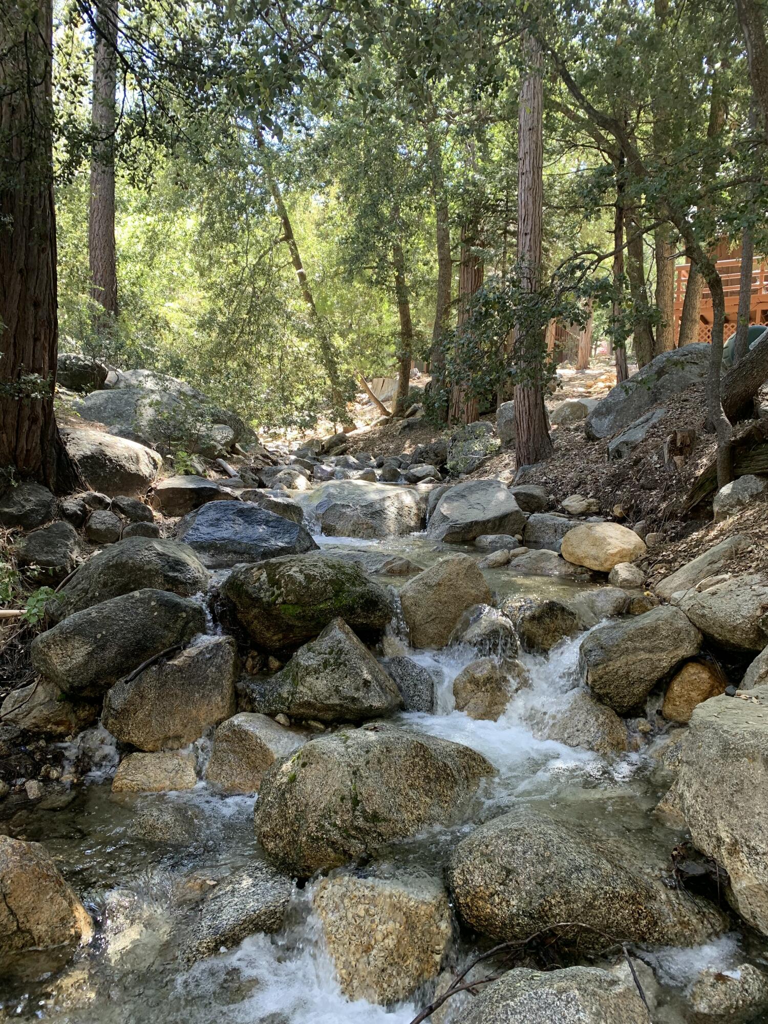 24775 Upper Rim Rock Road Idyllwild, CA 92549 - Photo 67 of 67 IMG_6786