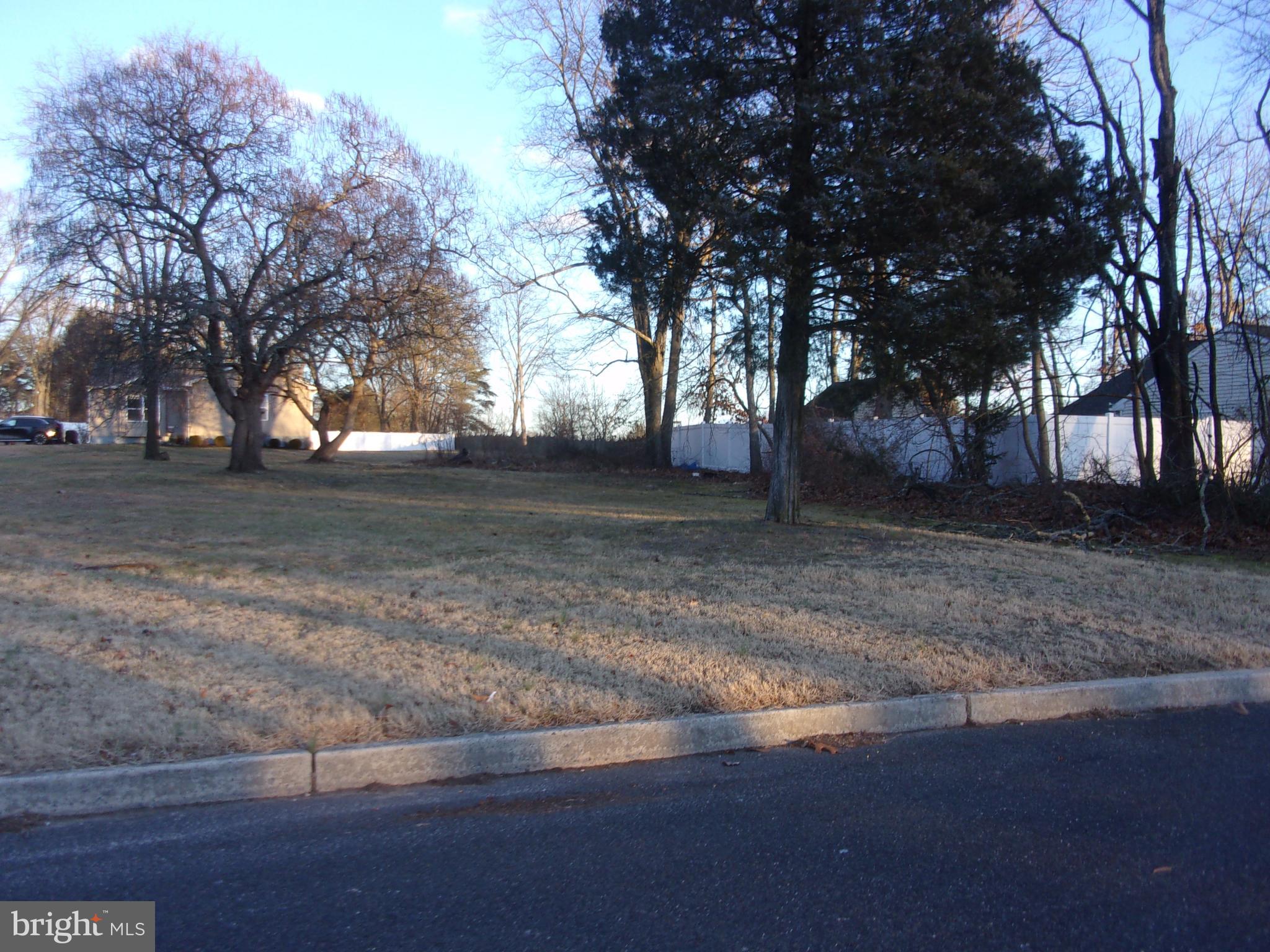 405 Oak Avenue West Berlin, NJ 08091 - Photo 1 of 3 a view of a yard with a tree