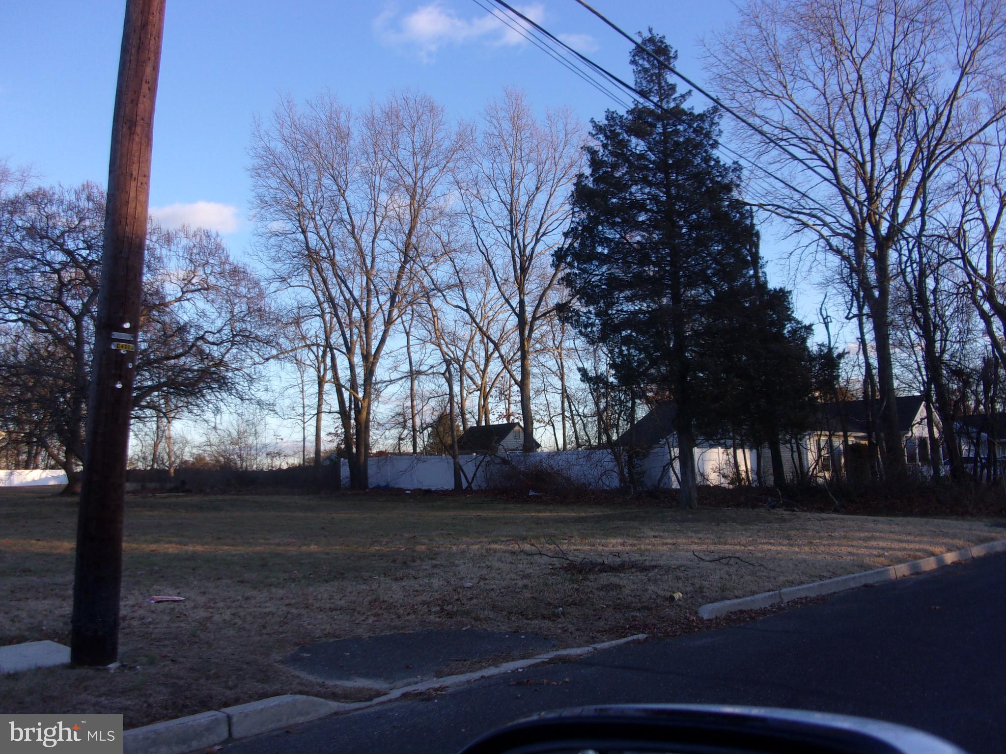 405 Oak Avenue West Berlin, NJ 08091 - Photo 2 of 3 a view of road with trees